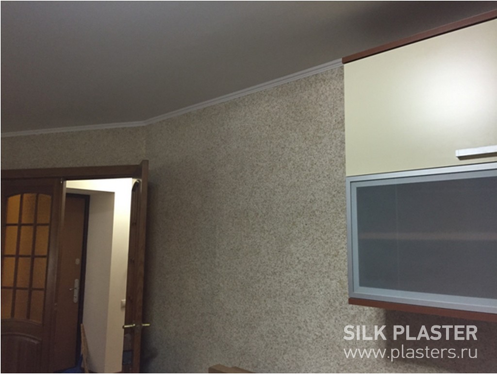 Promo_SILK_ PLASTER_2015_ 3.jpg Promo_SILK_ PLASTER_2015_ 3.jpg